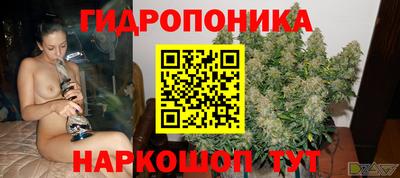 трава Славянск-на-Кубани