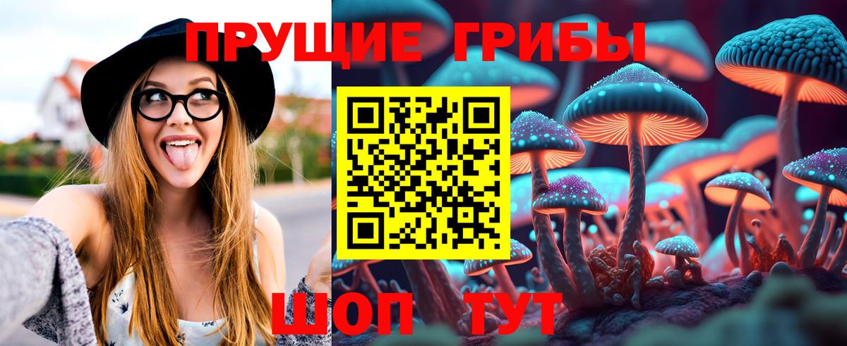 Галлюциногенные грибы Cubensis  Галлюциногенные грибы Psilocybe  Саяногорск  где купить наркоту  Вход с VPN 